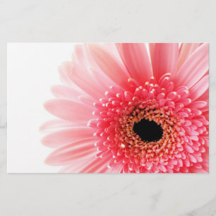 Fresh Pink Gerbera Daisy Photograph Stationery