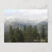 Fresh Powdered Snow.... Postcard