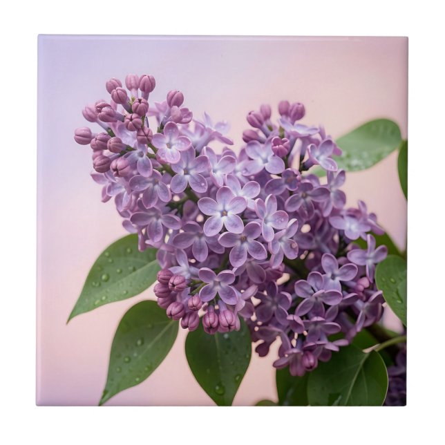 Fresh Purple Lilac Blossoms Spring Floral  Ceramic Tile (Front)