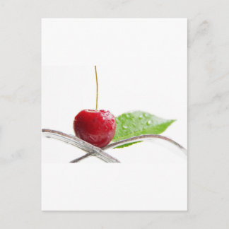 Fresh red cherries Gourmet Postcard