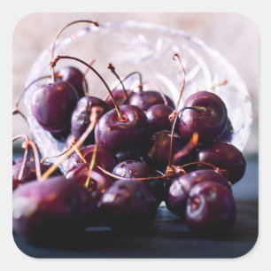 Fresh Red Cherries Photograph Square Sticker