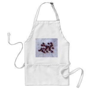 Fresh Red Cherries Photograph Standard Apron