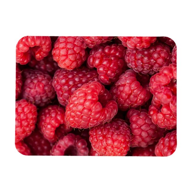 Fresh red raspberries magnet (Horizontal)