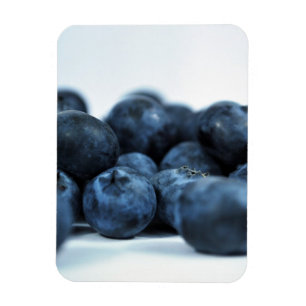 Fresh Ripe Blueberries Magnet