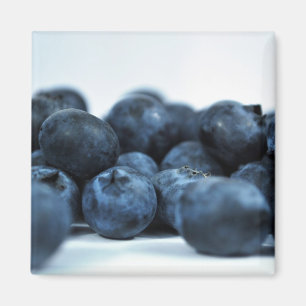Fresh Ripe Blueberries Magnet