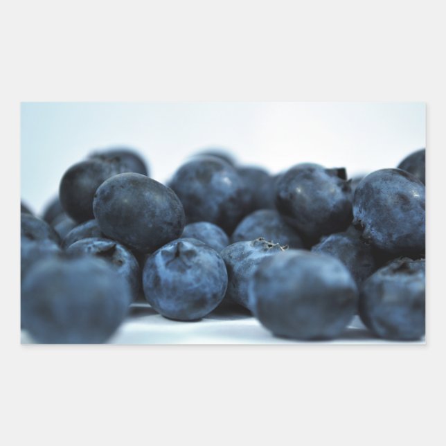 Fresh Ripe Blueberries Rectangular Sticker (Front)