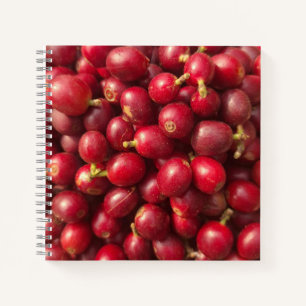 Fresh, ripe red coffee cherries notebook