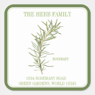 FRESH ROSEMARY Large Square Envelope Seals - Green