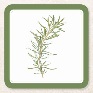 FRESH ROSEMARY Square Paper Coasters (-text) Green