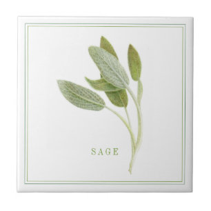 FRESH SAGE 4.25x4.25 Ceramic Tile (+text)
