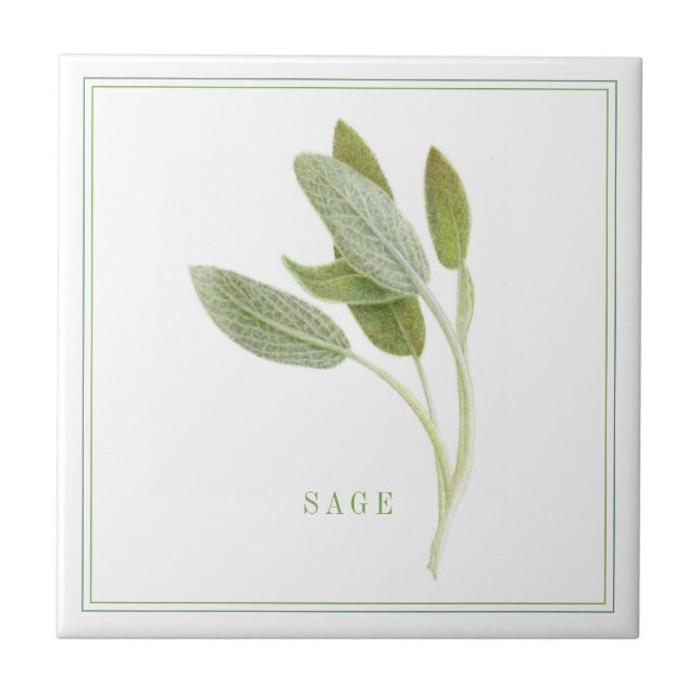 FRESH SAGE 4.25x4.25 Ceramic Tile (+text) (Front)