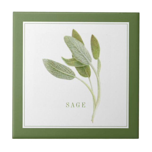 FRESH SAGE 4.25x4.25 Ceramic Tile (+text) Green (Front)