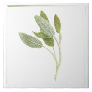 FRESH SAGE 6"x6" Ceramic Tile (-text)