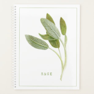 FRESH SAGE 8.5x11 Planner / Calendar