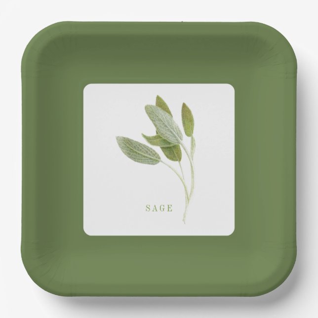 FRESH SAGE 9" Square Paper Plates - Green (Front)