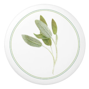 Fresh Sage Ceramic Knob
