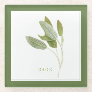 FRESH SAGE Glass Beverage Coaster (+text) Green
