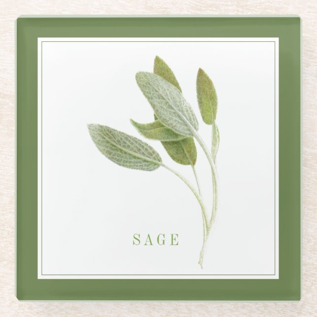 FRESH SAGE Glass Beverage Coaster (+text) Green (Front)