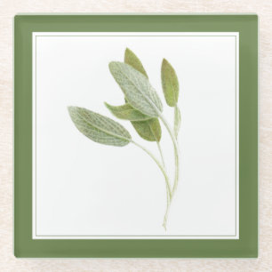 FRESH SAGE Glass Beverage Coaster (-text) Green
