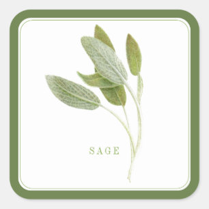 FRESH SAGE Large Square Stickers - Green