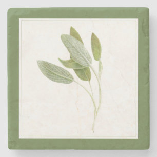 FRESH SAGE Marble Stone Coaster (-text) Green