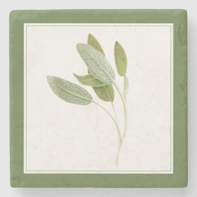 FRESH SAGE Marble Stone Coaster (-text) Green (Front)