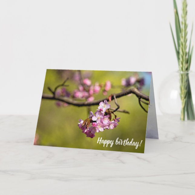 Fresh Sakura Flowers Against The Green Background Card (Front)