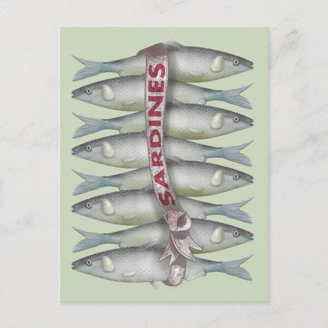 Fresh Sardines Postcard (Front)