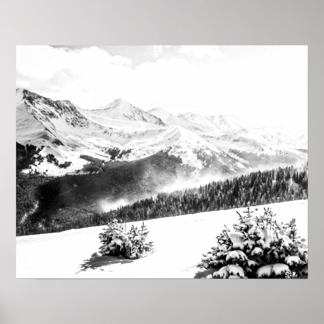 Fresh Snow Dust // Black and White Poster (Front)