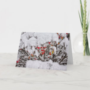Fresh Snow Note Card