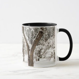 Fresh snow on red barn mug