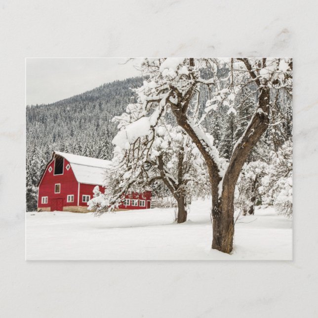 Fresh snow on red barn postcard (Front)