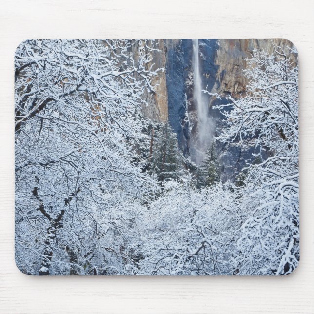 Fresh snowfall in the trees below Bridalveil Mouse Pad (Front)