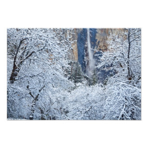 Fresh snowfall in the trees below Bridalveil Photo Print