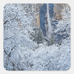 Fresh snowfall in the trees below Bridalveil Square Sticker