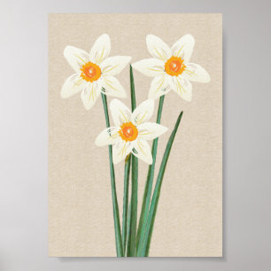 Fresh Spring Daffodils Watercolor Poster