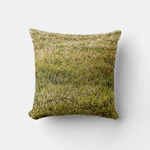 Fresh spring green grass background, with bokeh ef cushion