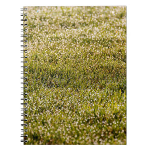 Fresh spring green grass background, with bokeh ef notebook
