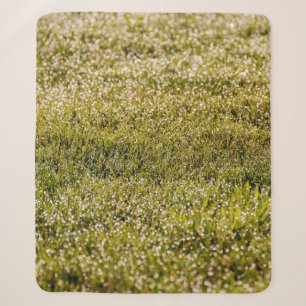 Fresh spring green grass background, with bokeh ef sherpa blanket