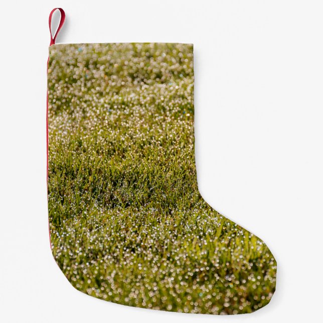 Fresh spring green grass background, with bokeh ef small christmas stocking (Front)