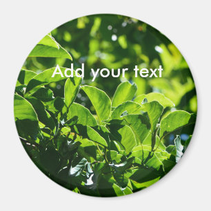 Fresh spring green leaves. nature photography. magnet