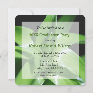 Fresh spring green lily leaves graduation invitation