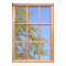 Fresh Spring Leaves View from a Window