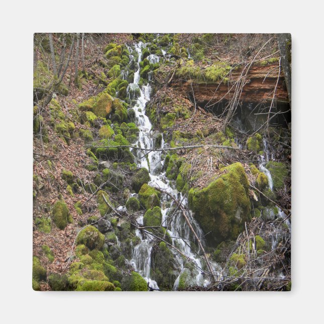 Fresh spring.... magnet (Front)