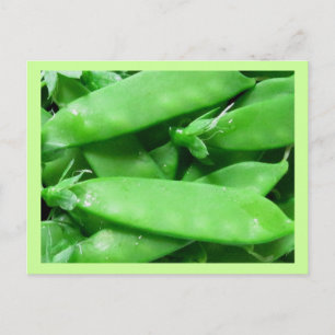 Fresh Spring Peas Postcard