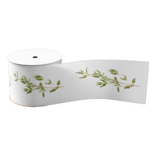 FRESH THYME 3" Wide Grosgrain Ribbon