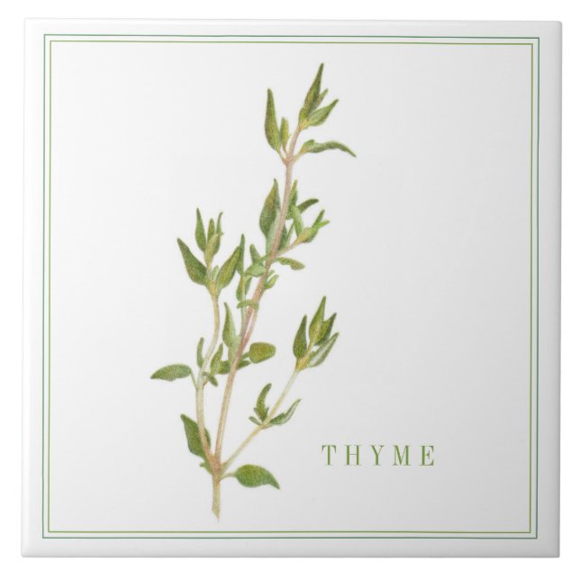FRESH THYME 6x6 Ceramic Tile (+text) (Front)