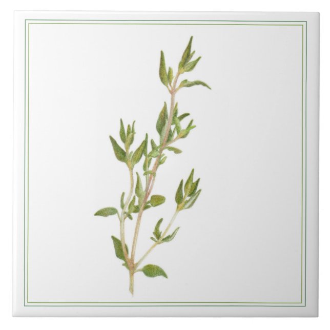 FRESH THYME 6x6 Ceramic Tile (-text) (Front)