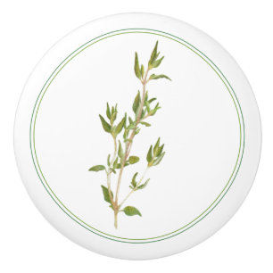 FRESH THYME Ceramic Knob