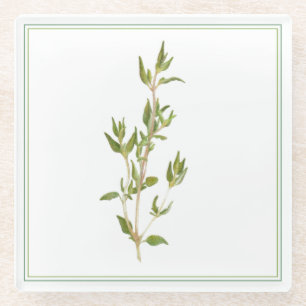 FRESH THYME Glass Beverage Coaster (-text)